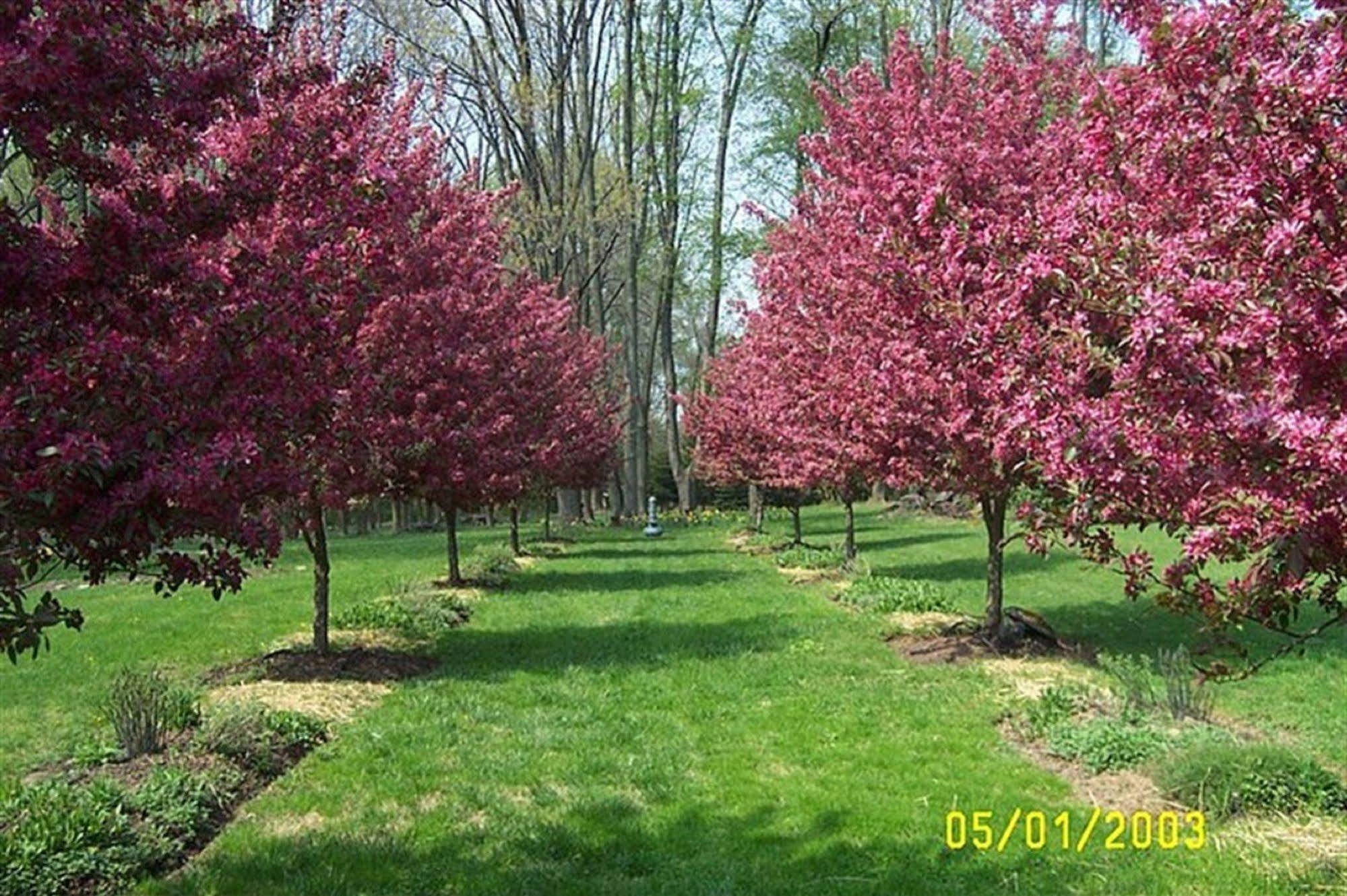 Wild Wisteria Bed and Breakfast Chadds Ford Εξωτερικό φωτογραφία