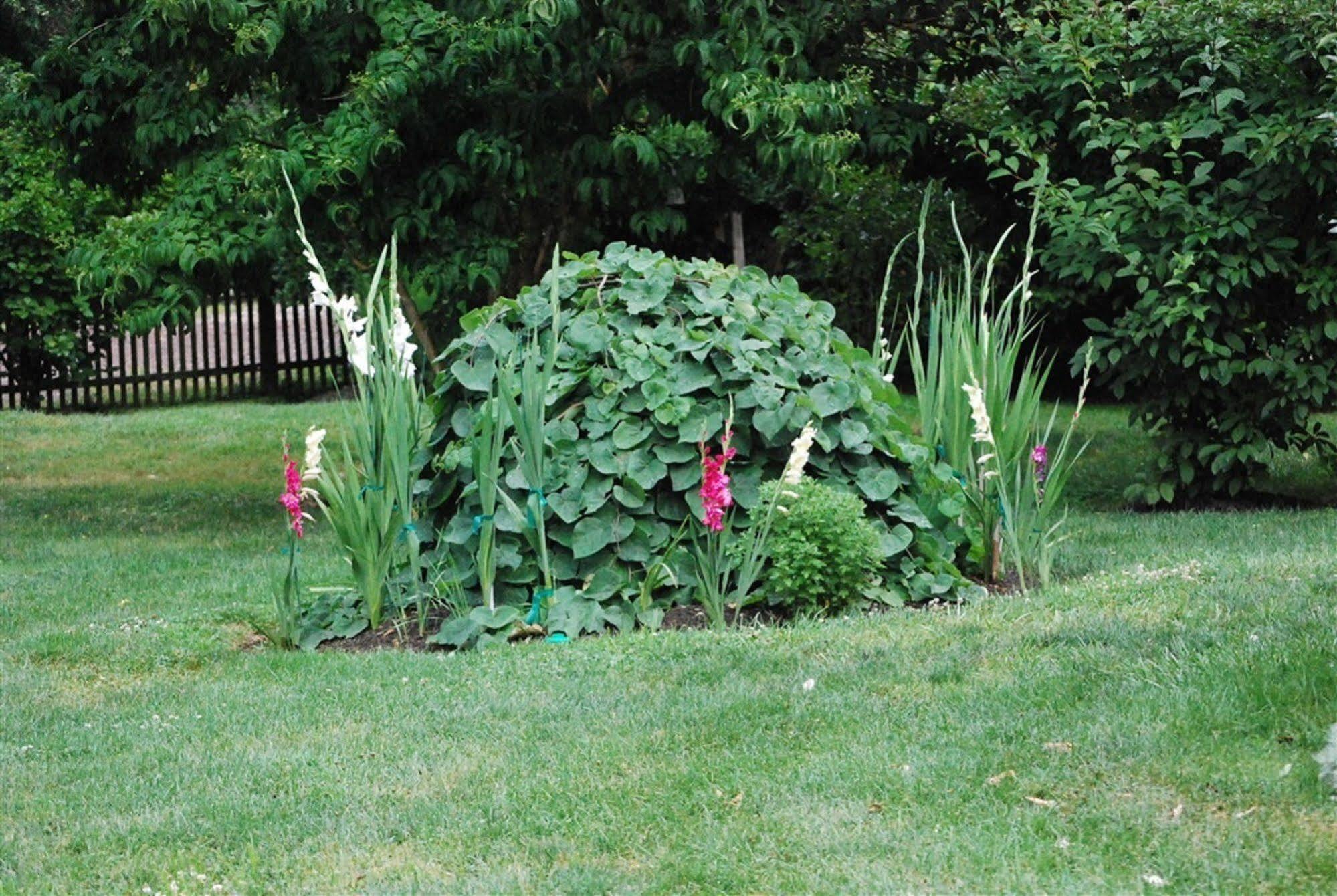 Wild Wisteria Bed and Breakfast Chadds Ford Εξωτερικό φωτογραφία